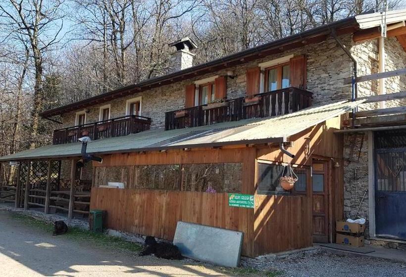 호텔 Agriturismo Volpe Golosa