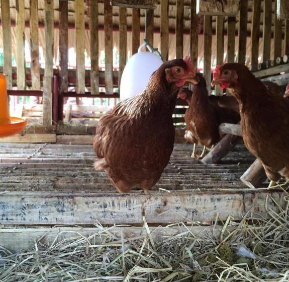 فندق Baan Nork Farmstay บ้านนอก ฟาร์มสเตย์