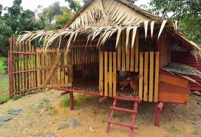 فندق Baan Nork Farmstay บ้านนอก ฟาร์มสเตย์