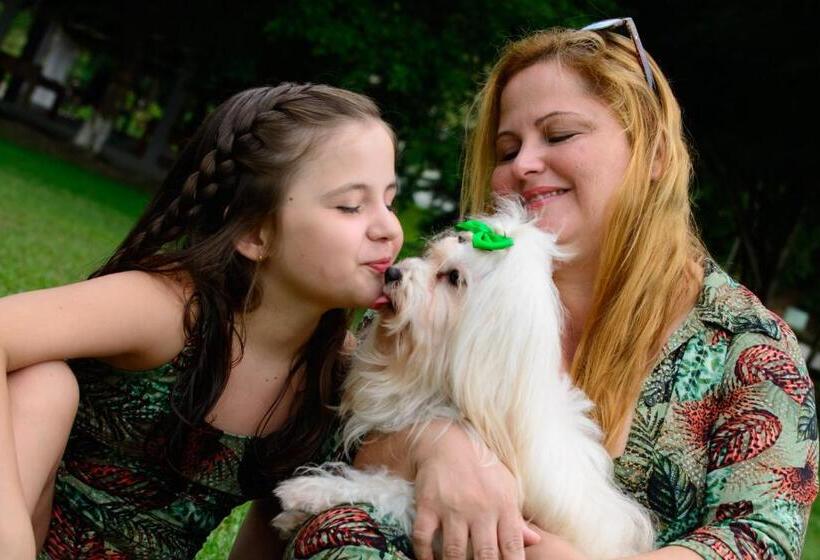 酒店 Fazenda Chiminelli