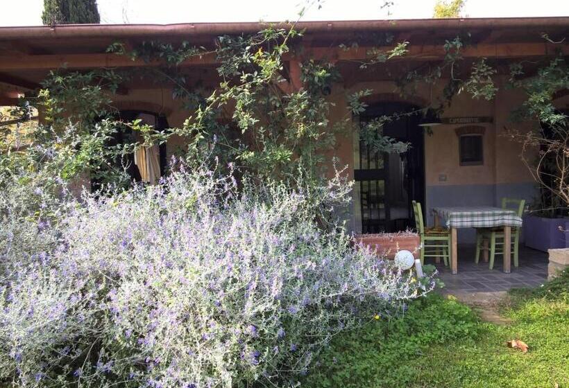 בית מלון כפרי Orto Delle Fate