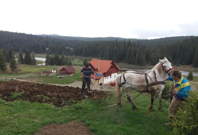 Отель Pensiunea Agroturistica Alexandra