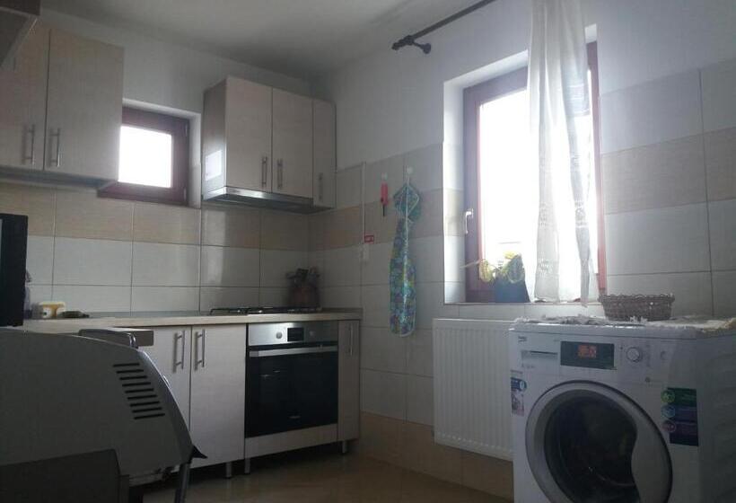 Отель Pensiunea Agroturistica Alexandra