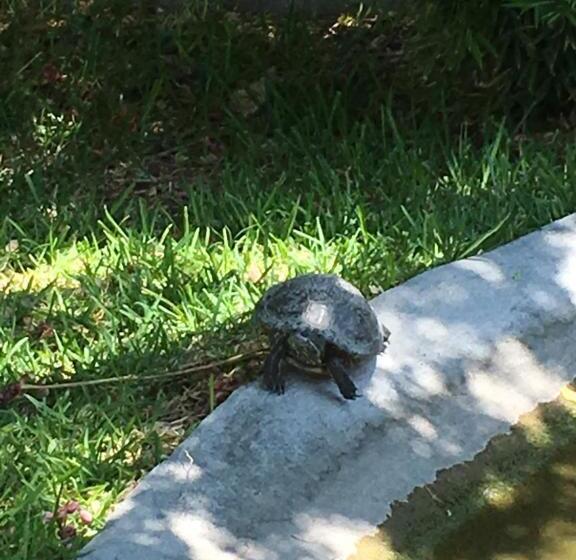 ホテル Quinta Souffle