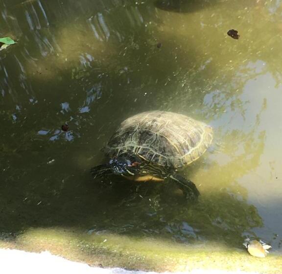 ホテル Quinta Souffle