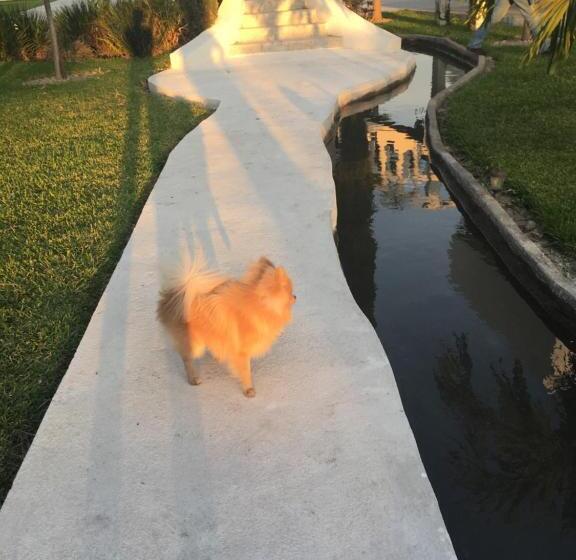 ホテル Quinta Souffle