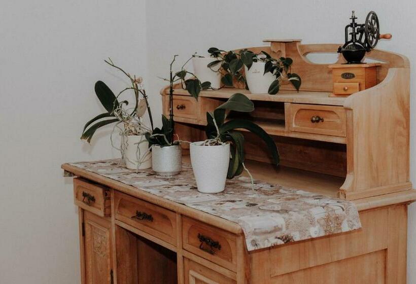 فندق Schäfer Zita