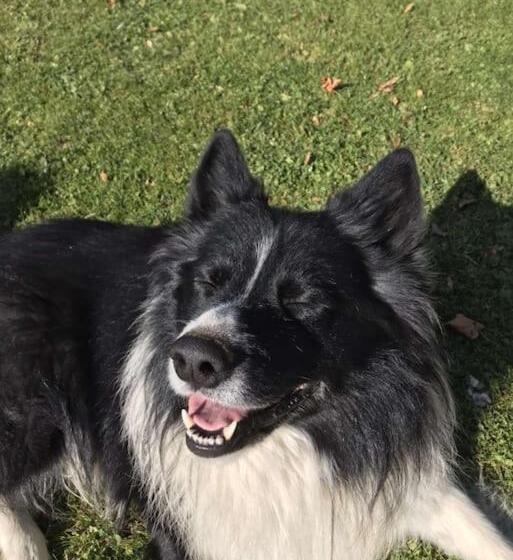 هتل Tourist Farm Kladje