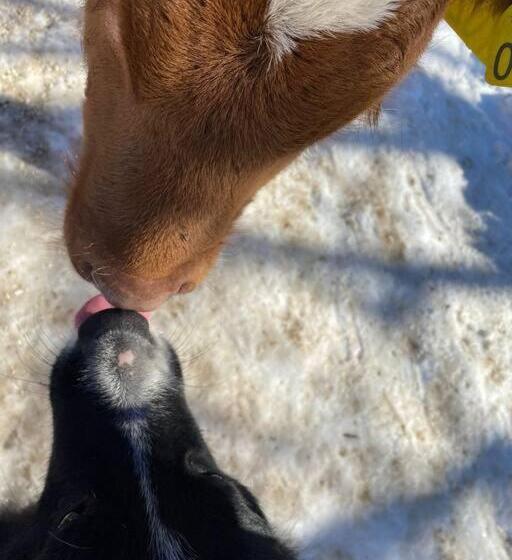 هتل Tourist Farm Kladje