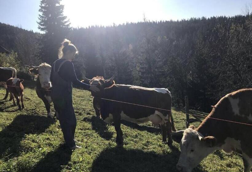 هتل Tourist Farm Kladje