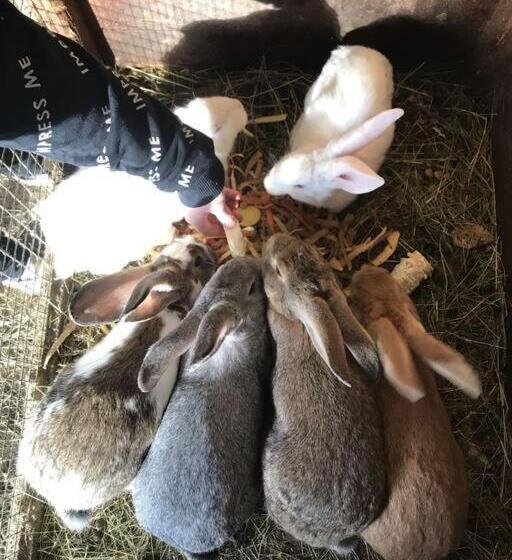 هتل Tourist Farm Kladje