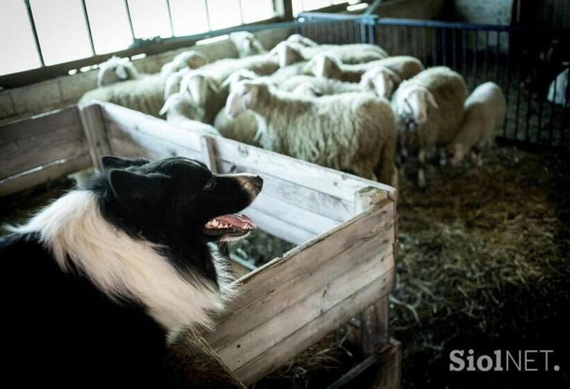 هتل Tourist Farm Kladje