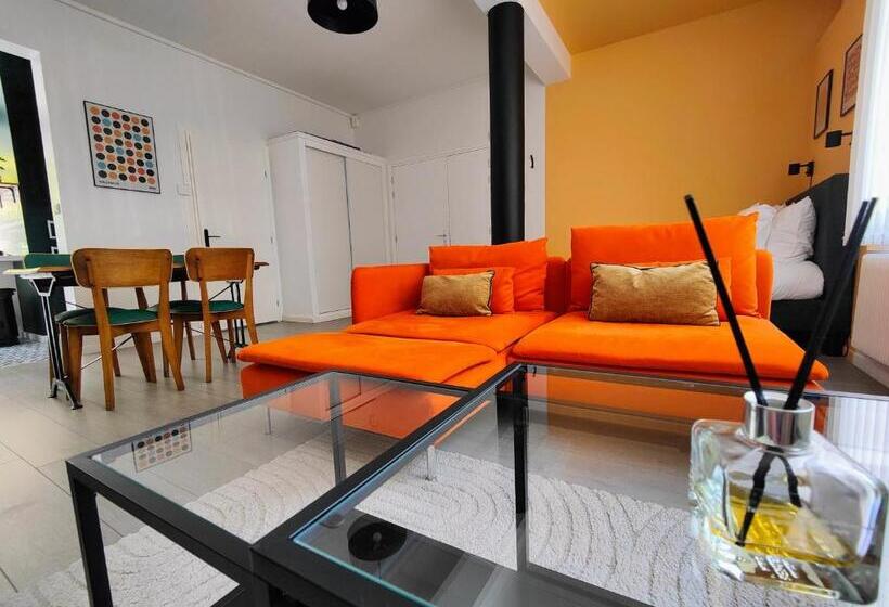 Le Rainbow   Grand Studio Avec Terrasse