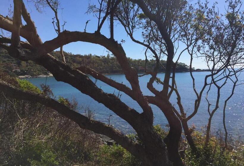 פנסיון Affittacamere In Centro