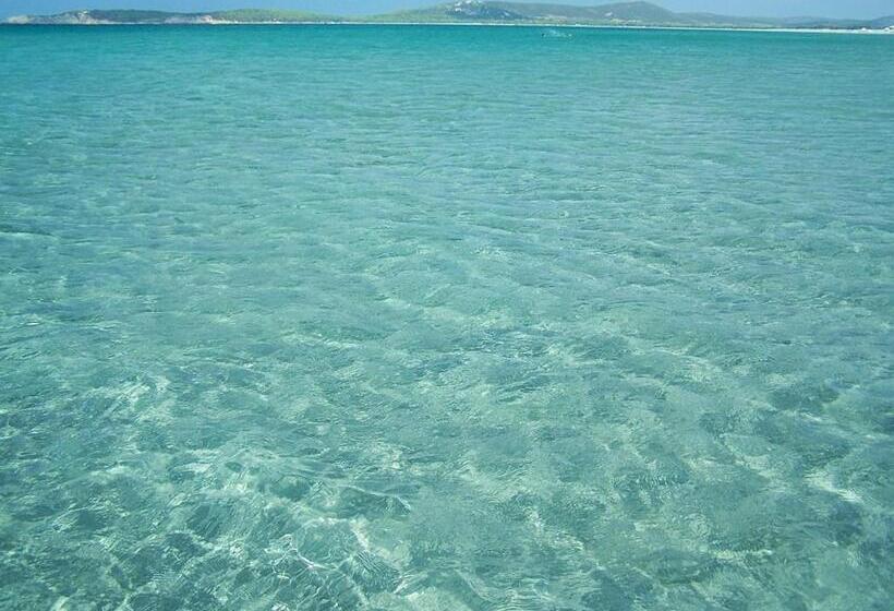 פנסיון Affittacamere La Medusa