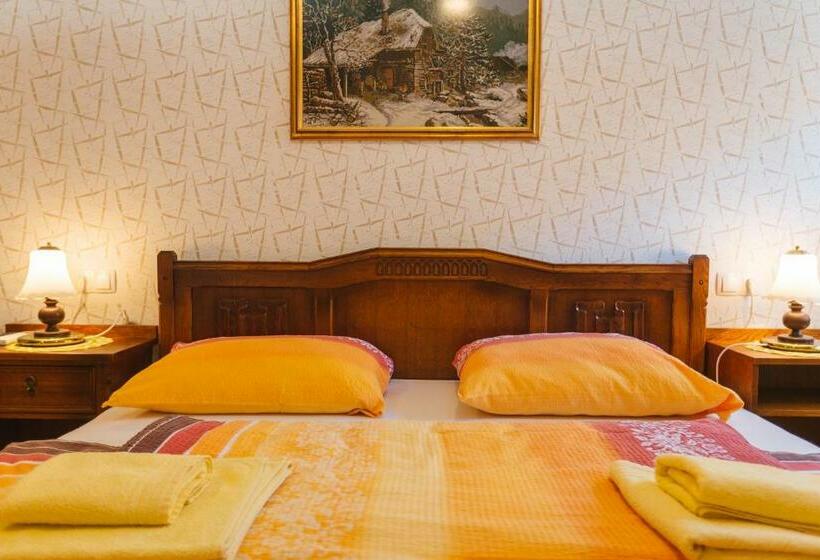 پانسیون Apartment Ledrar