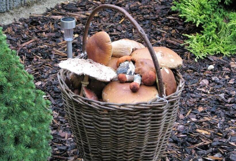 膳宿费 Apartments Lipno Serafin