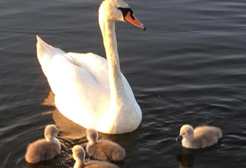 膳宿费 Apartments Lipno Serafin