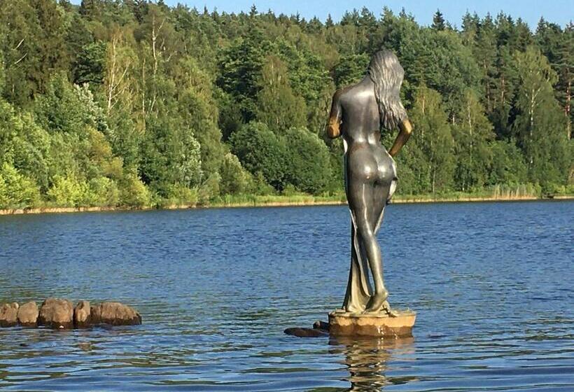 膳宿费 Apartments Lipno Serafin