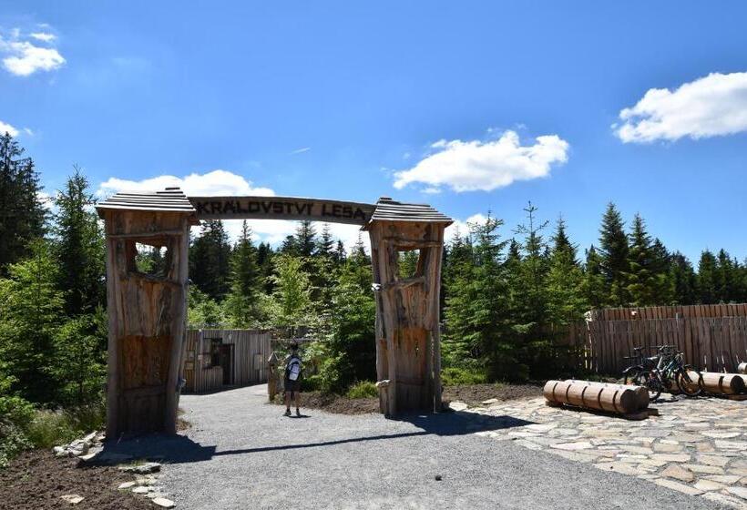 膳宿费 Apartments Lipno Serafin