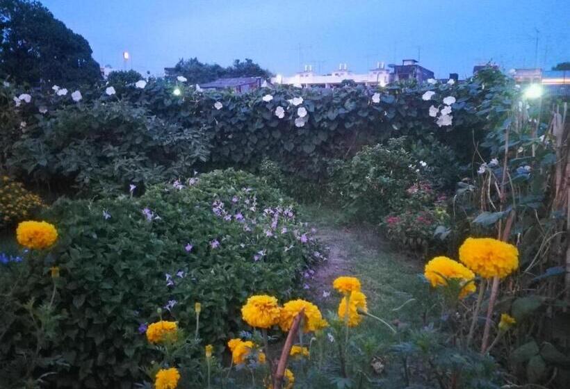 פנסיון Baan Bussaba