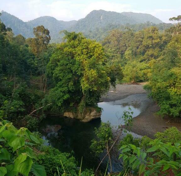 Пансион Batu Kapal Guest House & Jungle Trekking
