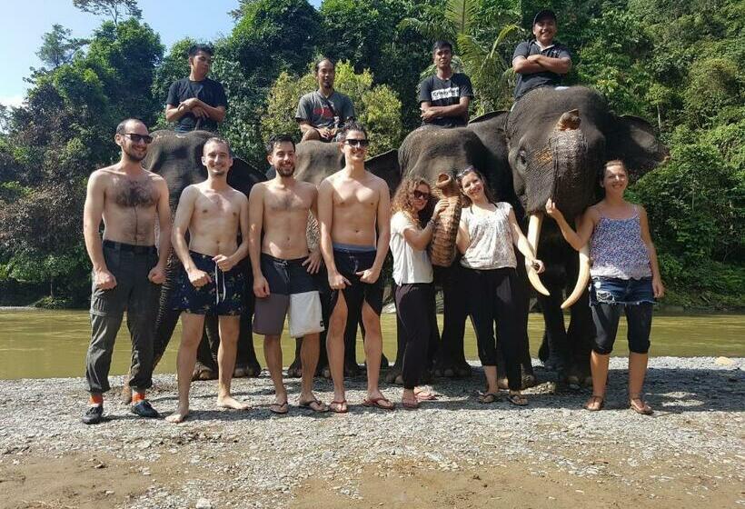 Пансион Batu Kapal Guest House & Jungle Trekking