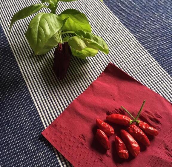 Pension (Hôtel basse catégorie) Casa Albert Stanley