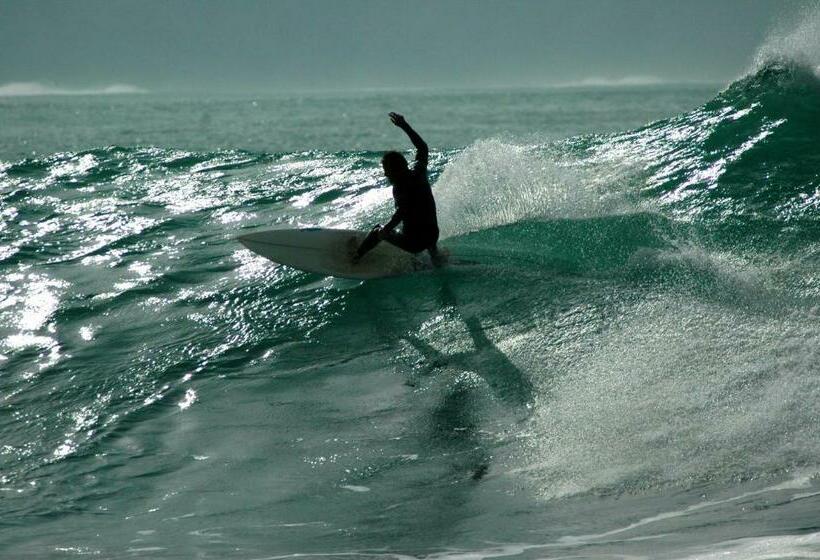 פנסיון Casa Das Palmeiras