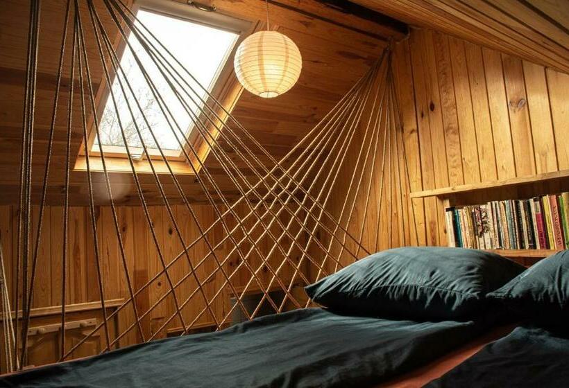 بنسيون Casa Petri Rosia Montana