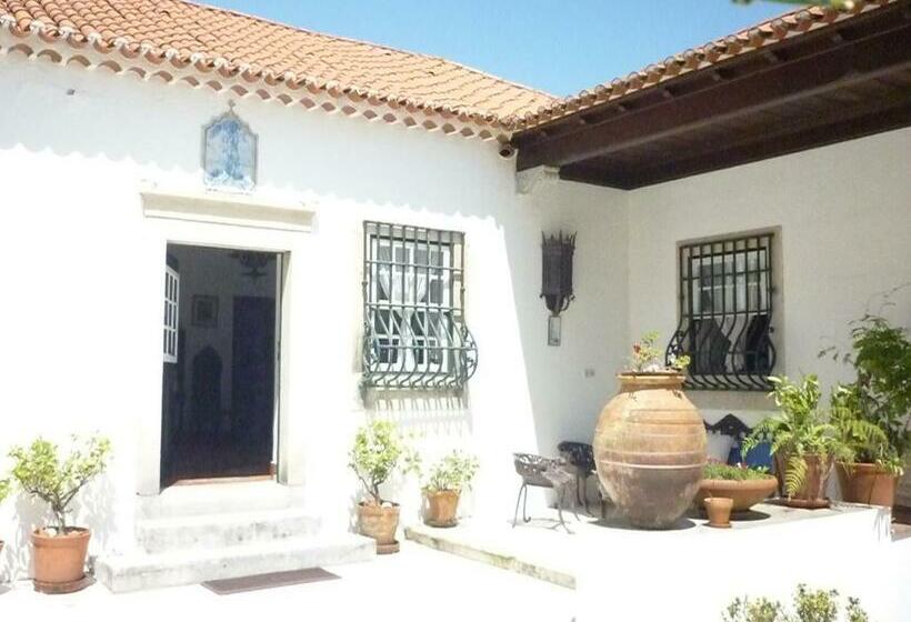 بنسيون Casa Picva