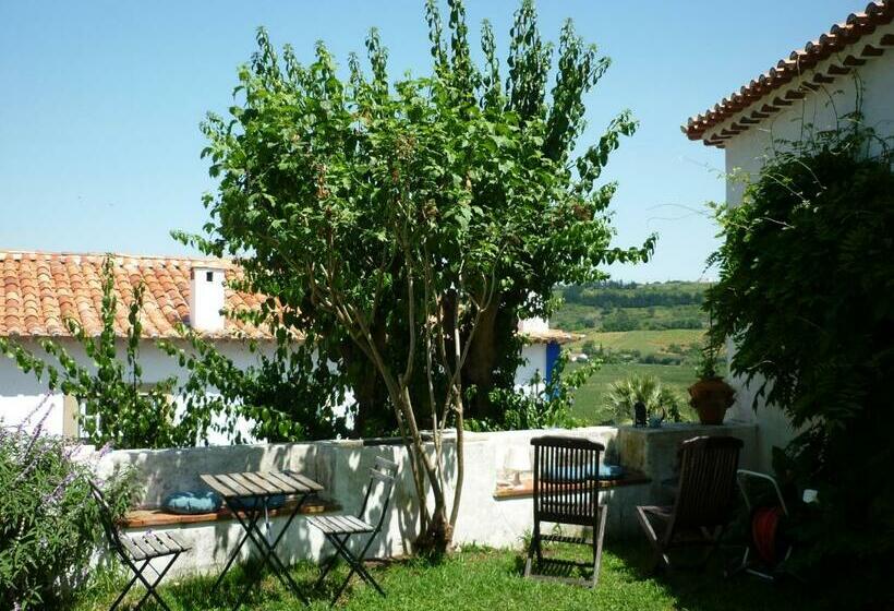 بنسيون Casa Picva