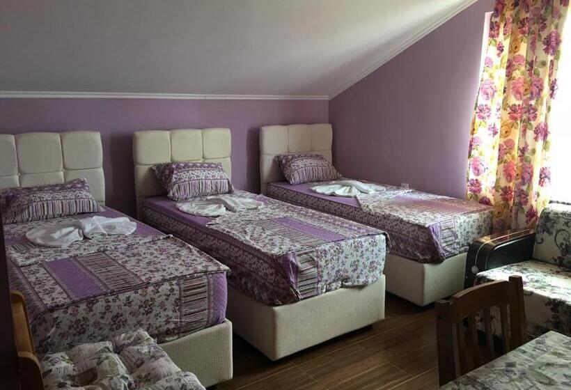 Пансион Daniel Guest House