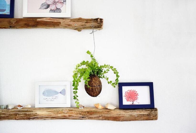 פנסיון Green Pepper