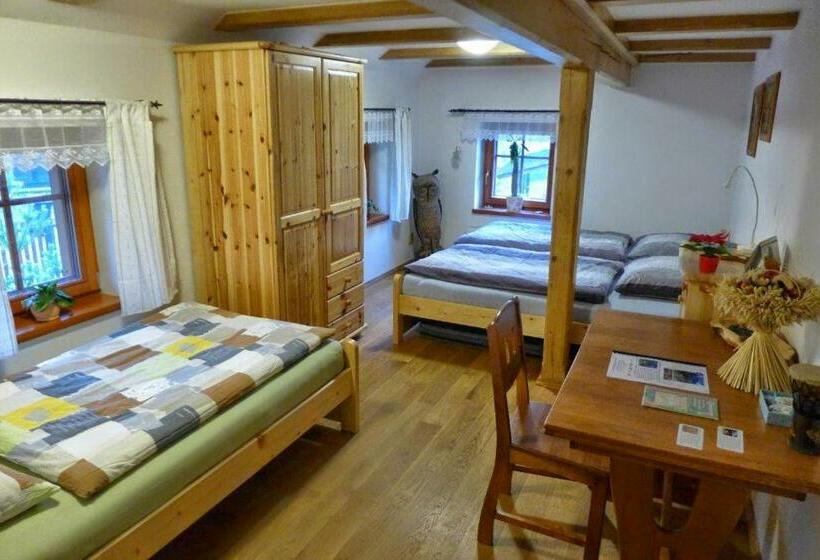 פנסיון Guest House Sněžník