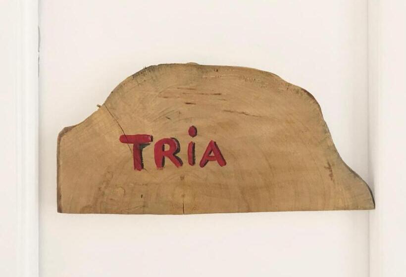 פנסיון Monterussi Bed And Breakfast