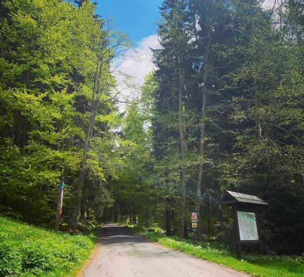 پانسیون Penzion Lesní Zátiší  Harrachov