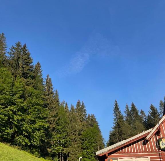 펜션 Penzion Lesní Zátiší  Harrachov