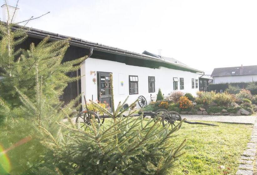 펜션 Penzion Sněžná Volary