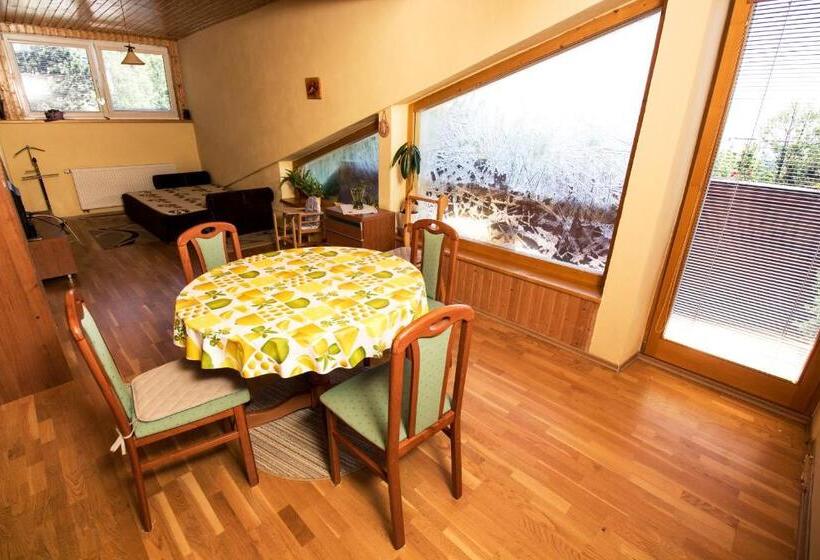 膳宿费 Penzion Sport