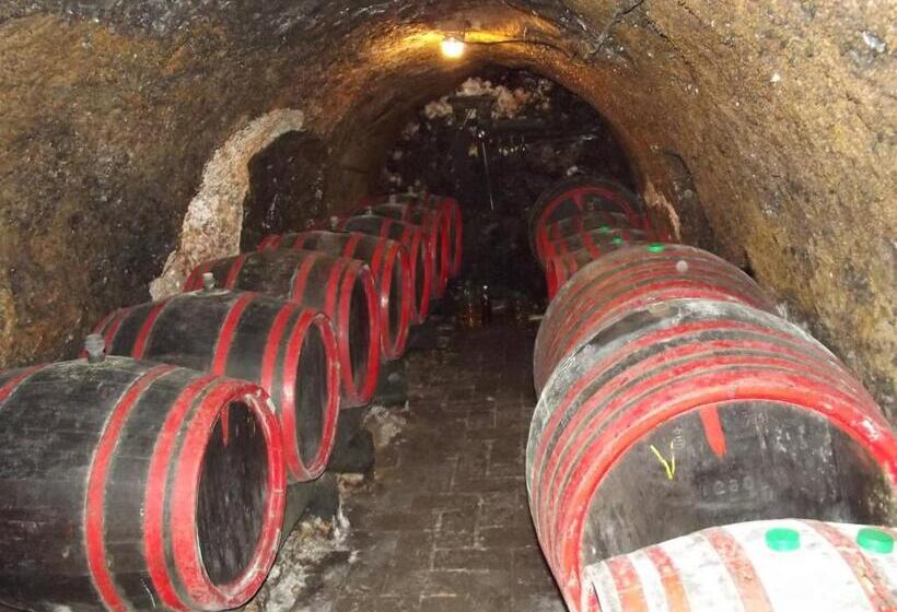 פנסיון öreg Diófa Vendégház