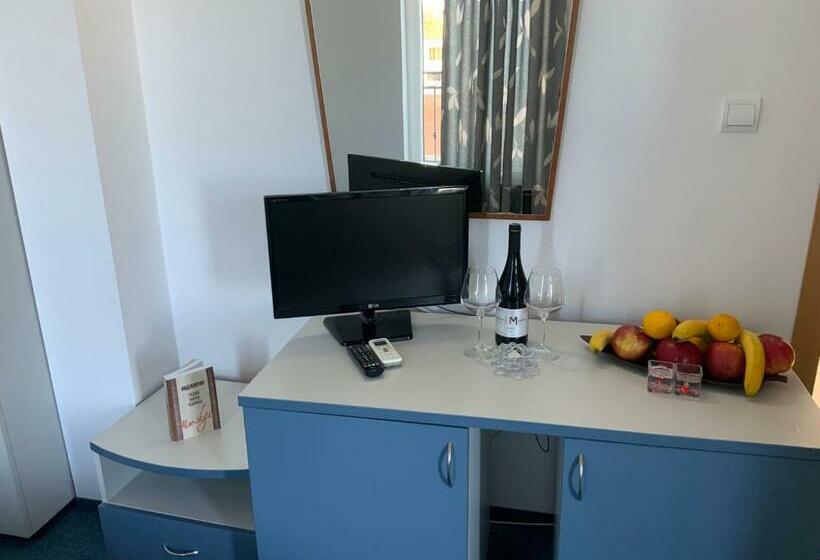 ペンション Guest House Briz