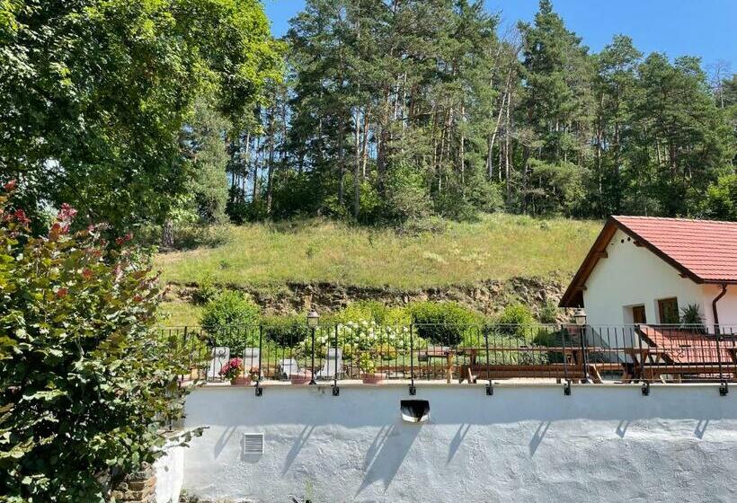 פנסיון Tříletý Mlýn