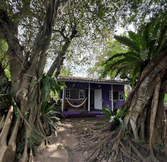 אתר נופש Colorful Hut