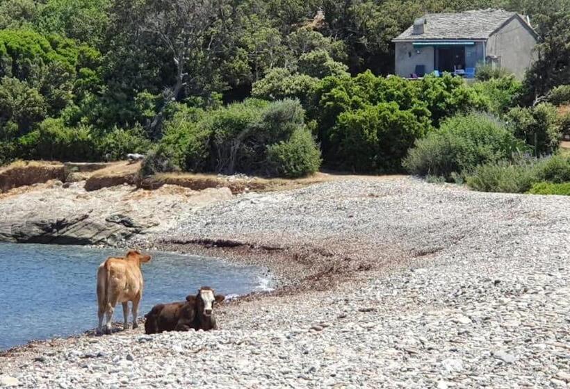 Rogliano Maison De Charme Avec Vue Panoramique