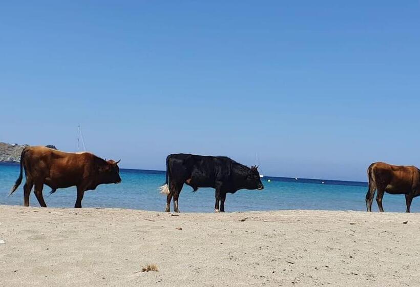 Rogliano Maison De Charme Avec Vue Panoramique