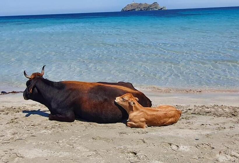Rogliano Maison De Charme Avec Vue Panoramique