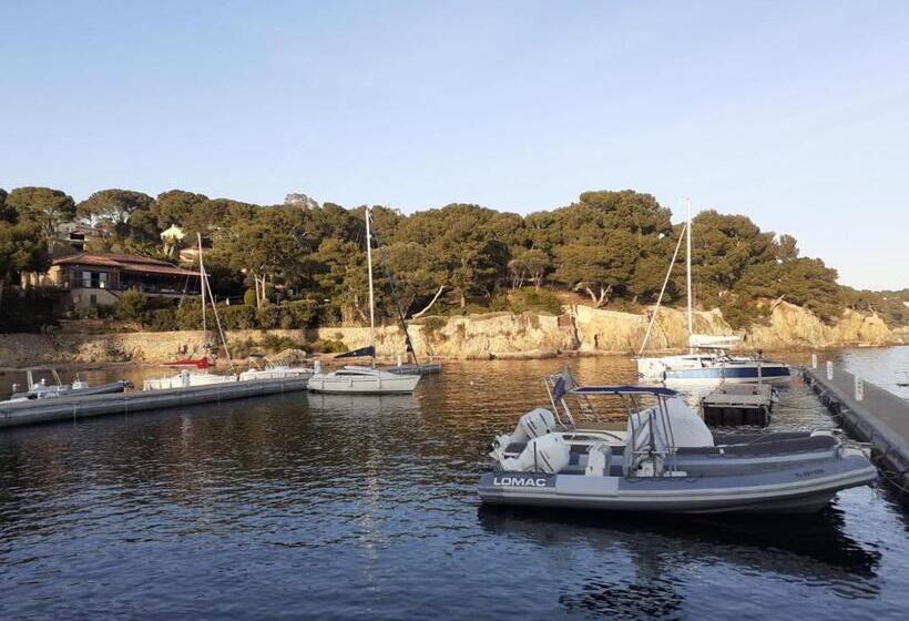 Villa Vue Mer Presqu Ile De Giens Avec Piscine