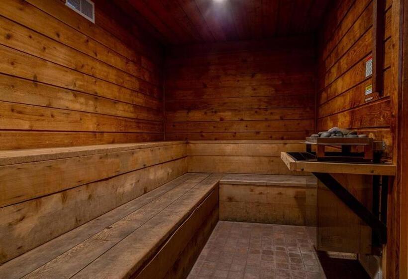 477 Spacious 3 Bed Loft   Balcony Laundry Spa Sauna   Walk To Shuttle