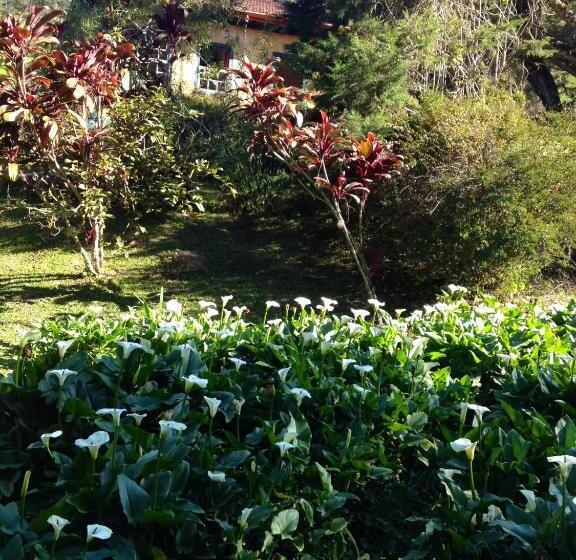 ユースホステル Pousada Chalés Da Casa Centenária